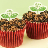 식탁요정 / 새싹화분 쇼콜라컵케이크 [4월시즌상품]