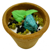 초록나무/꿈틀꿈틀화분모양쿠키-이벤트(식목일)